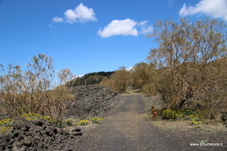 Monte Egitto